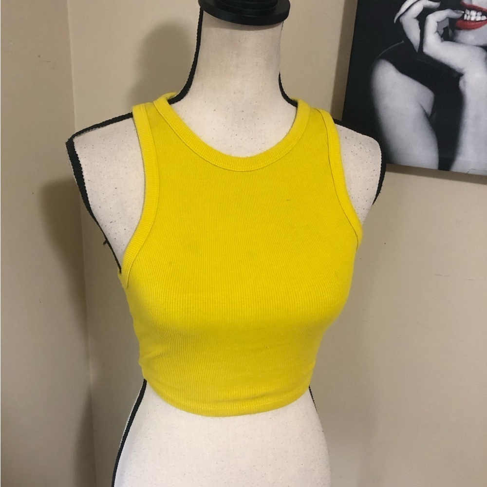 FINAL SALE! Zara Ribbed Halter Crop Top